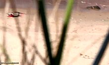 Szczupła brunetka jeździ na grubym kutasie na plaży